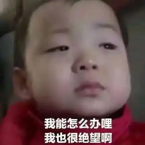 泰山陨石坠表情包是时候