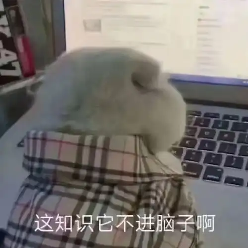 光遇好玩吗表情包刘小芬