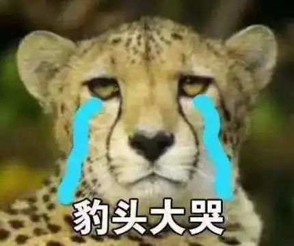  原来大猫卸妆后,竟然这么丑
