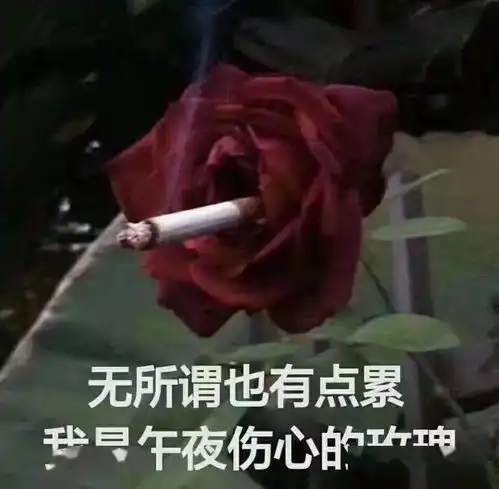  官宣研究生教育又双叒改革了