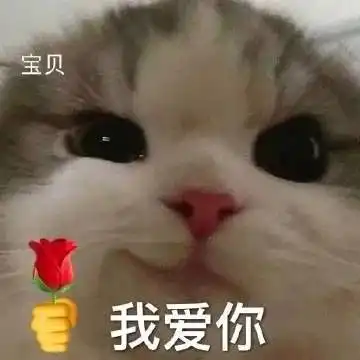  表情包不如姐姐带我们开开眼吧