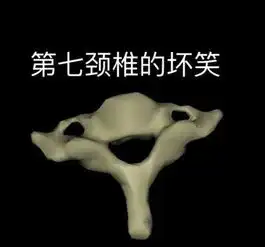 方便表情包颈椎