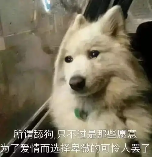 傻眼表情包狗狗舔狗