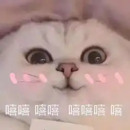  每日表情丨必须爱我没选择