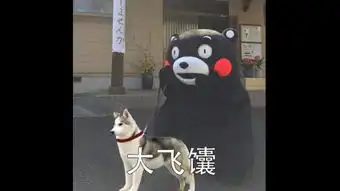  表情包配音动物园里有什么萝莉音版短片手书配音动画...