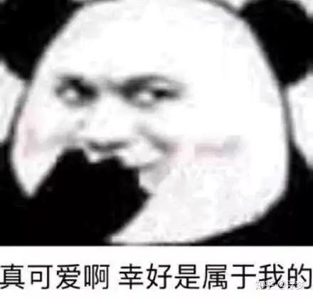 画斗图熊猫表情包素描试