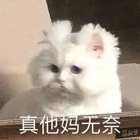  热门沙雕表情包