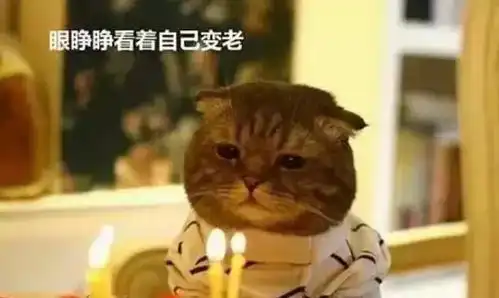  过年最怕遇到这样的亲戚,你中招了吗