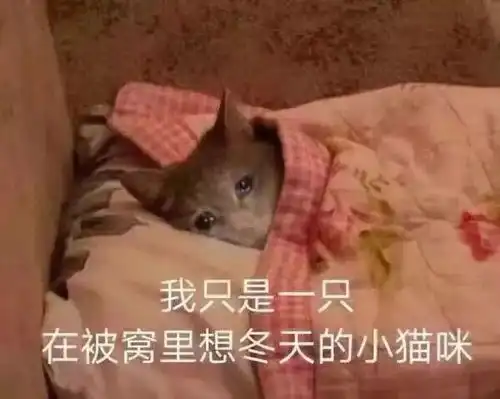  小雨中雨阵雨中雪嘉兴2月无晴天更要当心春节长假后遗症