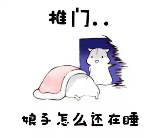  仓鼠表情包娘子怎么还在睡