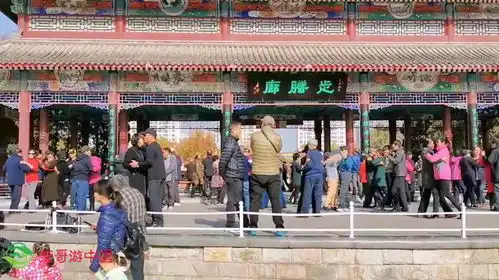  天津公园里的尬舞我也是第一次见,大叔的舞蹈表情我也是醉了