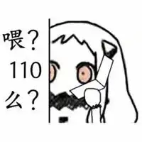  110表情包