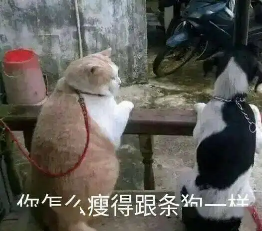  无聊图热榜0621