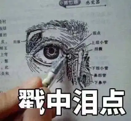  大雨还在下,降温也发力,一直下到