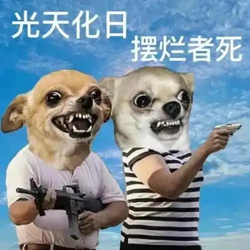  这个天热到爆炸摆烂猫狗表情包