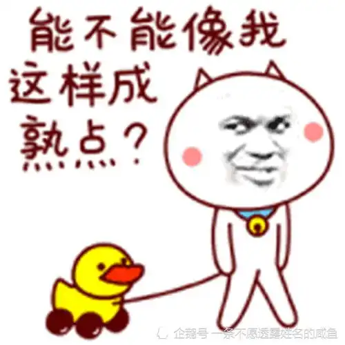  无标题