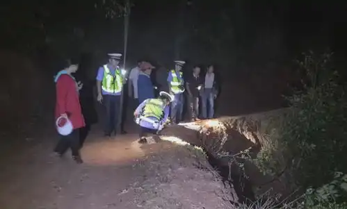  禄丰醉驾发生交通事故后找人顶包警方从严处罚