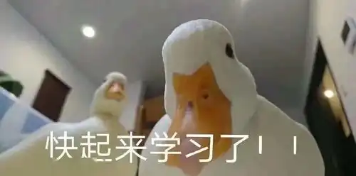  这份课表快收藏岛城名师免费辅导答疑,已有40余名师加入