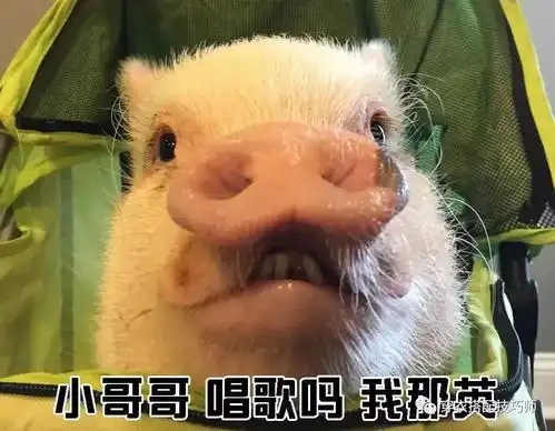  教你如何一句话搭讪好看的小哥哥