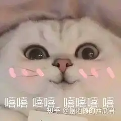  三星平板和ipad哪个值得买