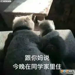  是个狠人表情包我常常因为贫穷而感到与你们格格不入表情包下载乐游网游戏下载