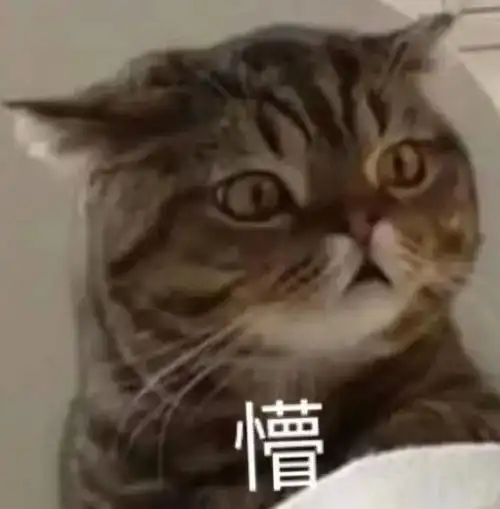  妈妈给俩孩子各养一只猫,谁成绩好谁的猫就能吃罐头,网友我也要为猫猫罐头而读书