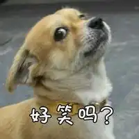  狗翻白眼的表情图片狗狗翻白眼表情包下载乐游网游戏下载