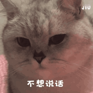  沙雕表情派饭了,碗拿出来