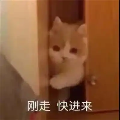  超级的幽默又超级的有趣表情大全