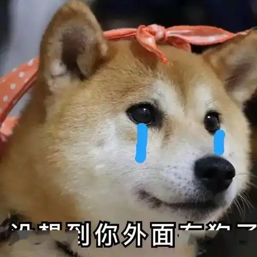该挨打了表情包狗子