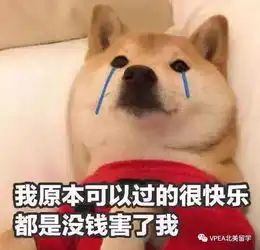  人民币汇率破7,中美博弈大变局,留学党在惊慌中自求多福