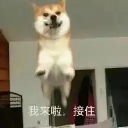  初升高2019年长沙城区初升高直升生名单公布