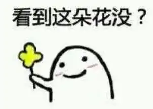  表情包小花