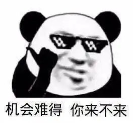  日常沙雕熊猫头表情