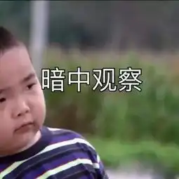  新一代表情包霸主谢飞机的日常
