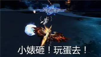  新剑与魔法一场野外pk竟打了表情包