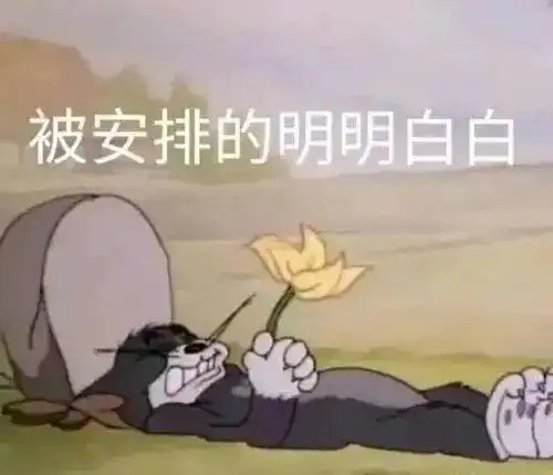 披被子的图片表情包沙雕