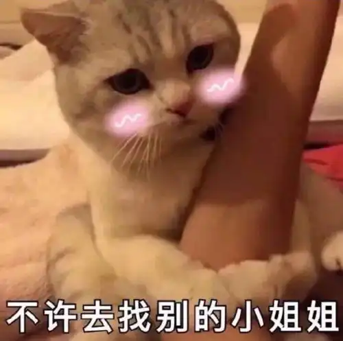  网易云热评躲得过对酒当歌的夜,躲不过四下无人的街