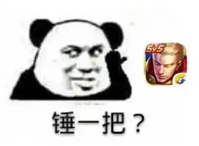 扔王者荣耀的表情包混子