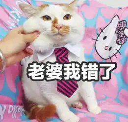  高清无水印萌猫表情包生气时也要萌萌哒,迷死你的那个他