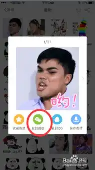 苹果微信内涵表情包动态