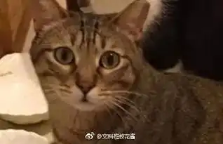  为什么发烧会让人变漂亮