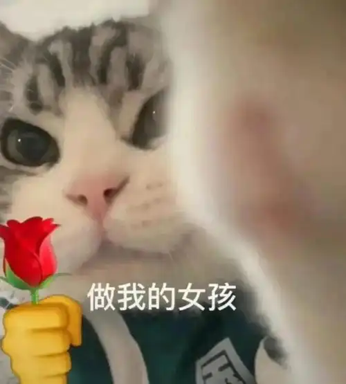  撩妹表情包