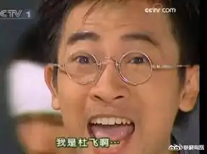  我,苏有朋,华语硬核偶像鼻祖