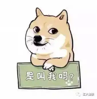  双十一脱单攻略