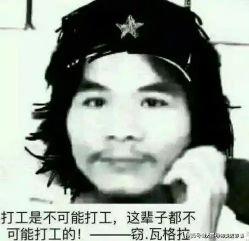 窃瓦拉格表情包张飞