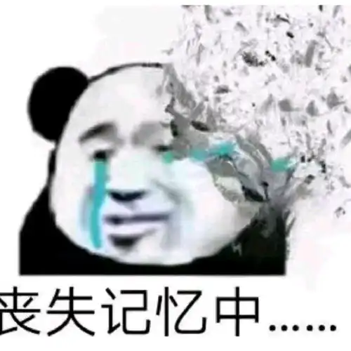 泰山陨石坠表情包这个人