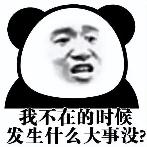  和小猫击掌表情包