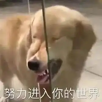  幽默搞笑表情包把你摁在墙上,对你耍流氓