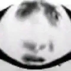  超实用高清沙雕熊猫头表情包